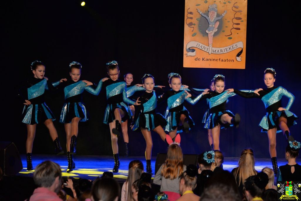 ../Images/Dansmarieke festival 2018 107.jpg
